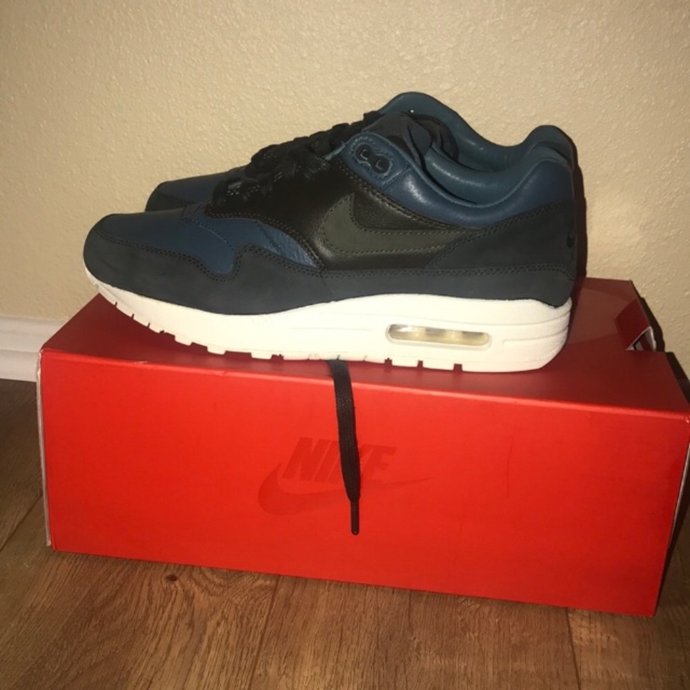 Nike Air Max 1 Pinnacle